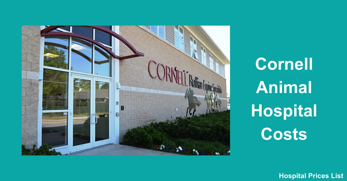 Cornell Animal Hospital Costs