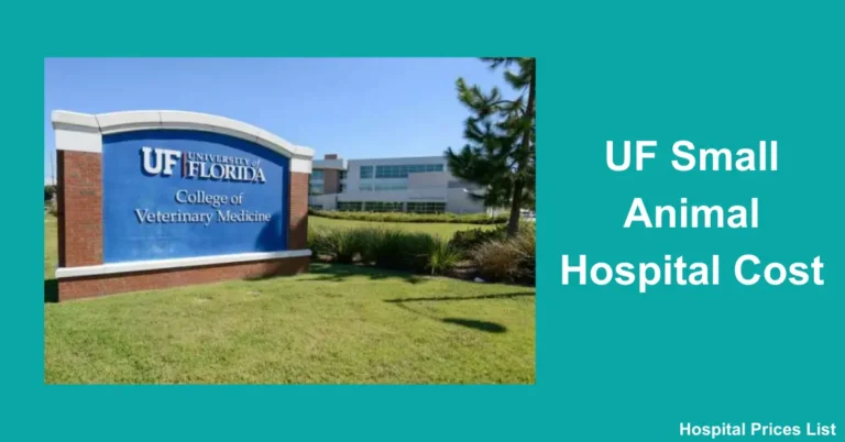 UF Small Animal Hospital Cost